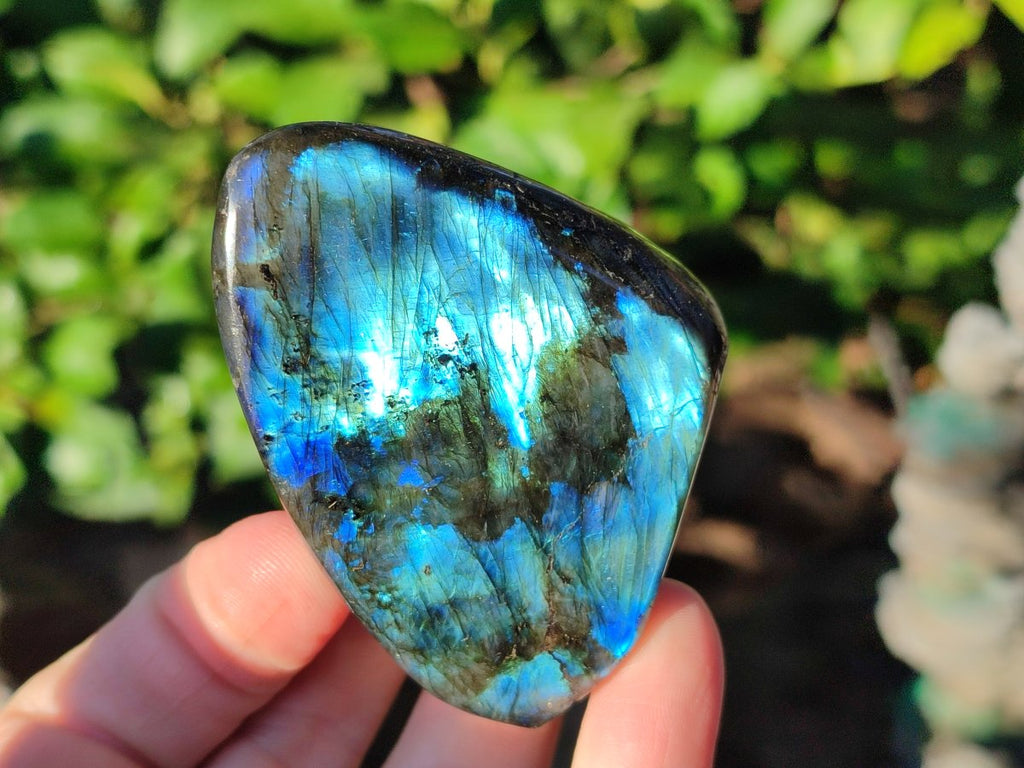 Polished Small Labradorite Standing Display Pieces x 6 From Madagascar - Toprock Gemstones and Minerals 