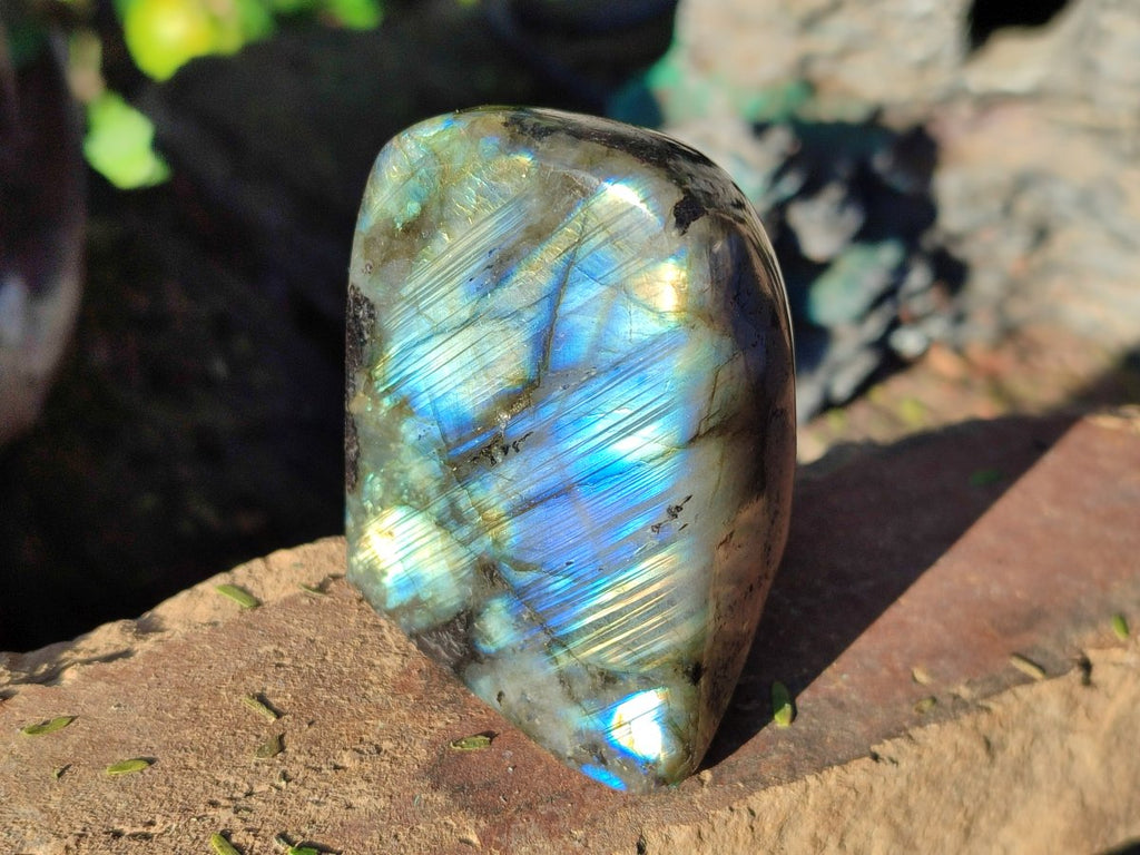 Polished Small Labradorite Standing Display Pieces x 6 From Madagascar - Toprock Gemstones and Minerals 