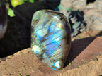 Polished Small Labradorite Standing Display Pieces x 6 From Madagascar - Toprock Gemstones and Minerals 