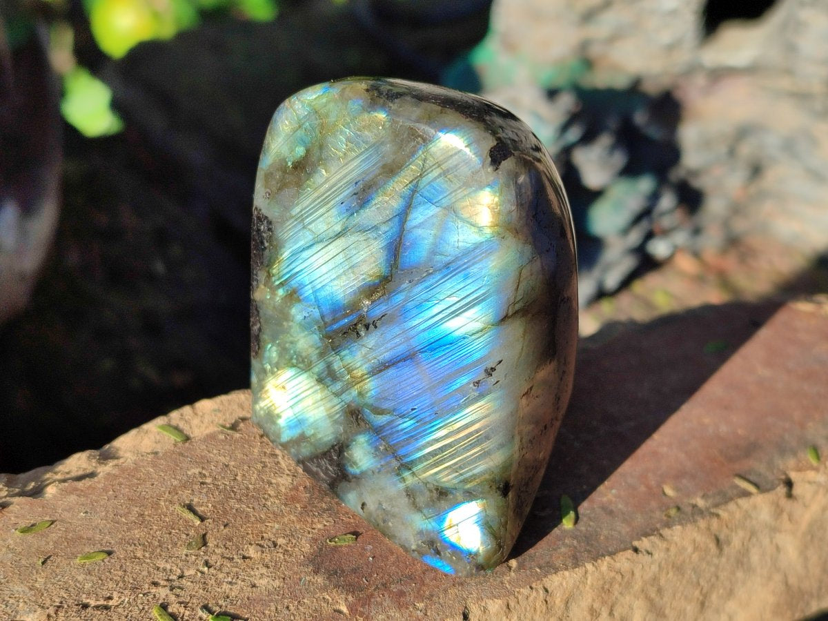 Polished Small Labradorite Standing Display Pieces x 6 From Madagascar - Toprock Gemstones and Minerals 