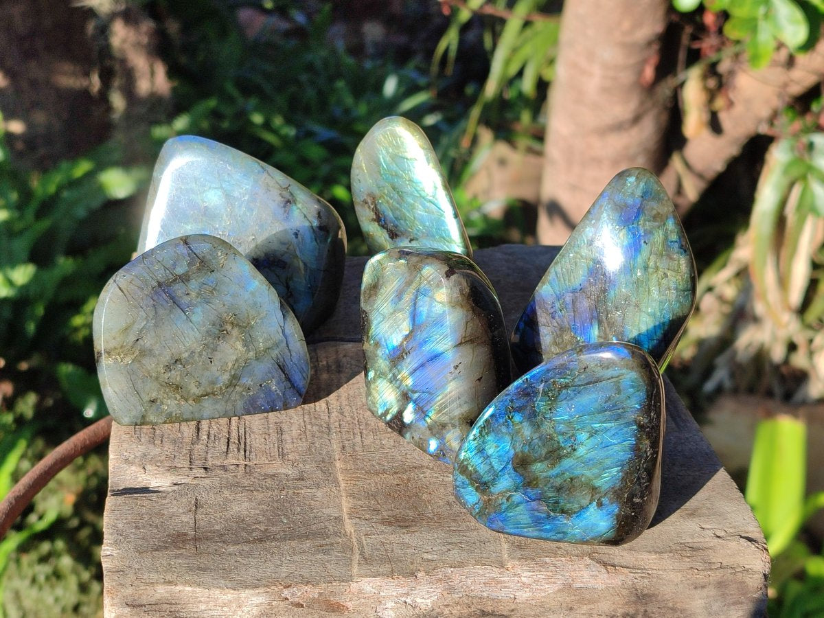 Polished Small Labradorite Standing Display Pieces x 6 From Madagascar - Toprock Gemstones and Minerals 