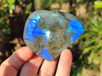 Polished Small Labradorite Standing Display Pieces x 6 From Madagascar - Toprock Gemstones and Minerals 