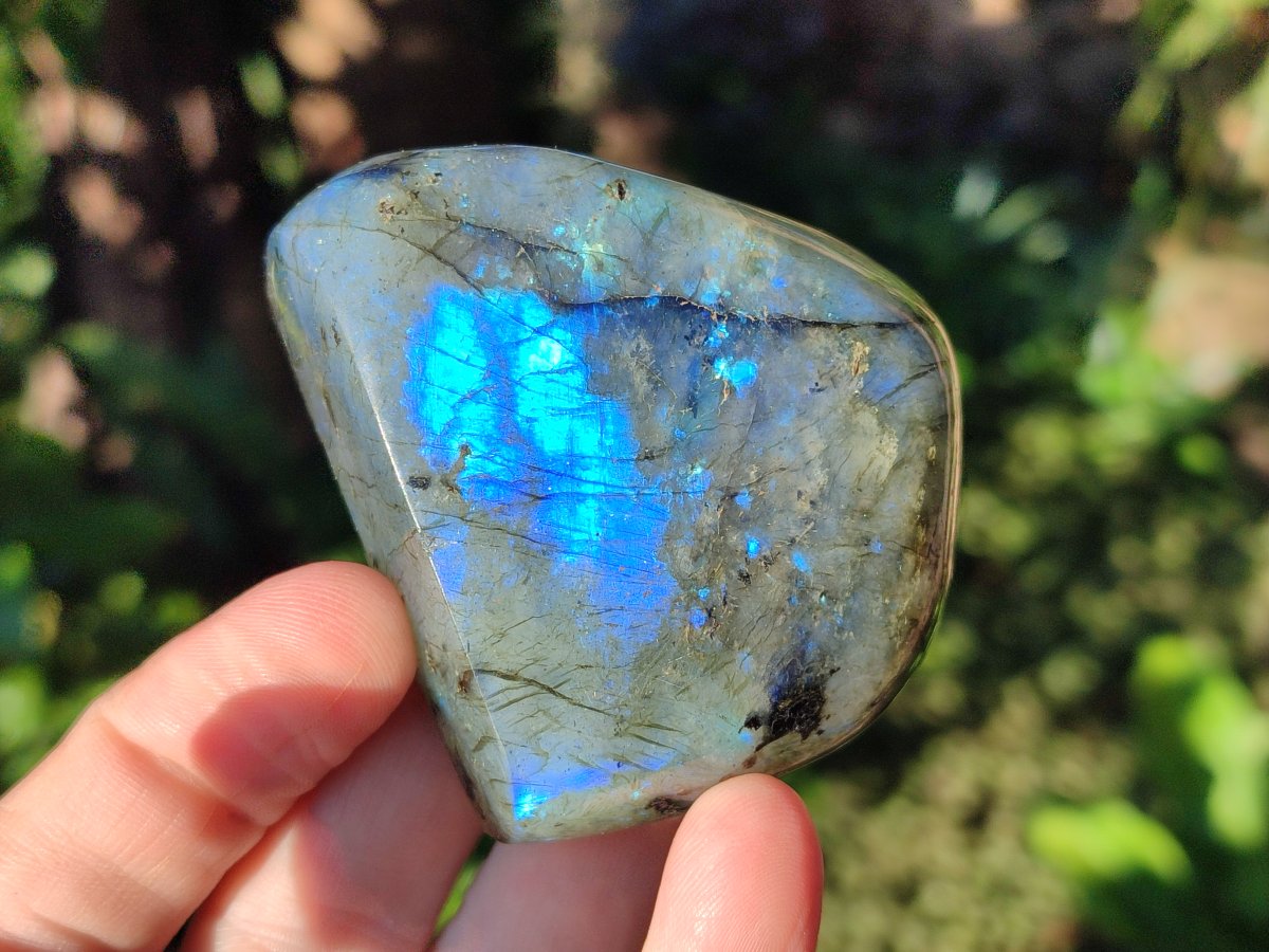 Polished Small Labradorite Standing Display Pieces x 6 From Madagascar - Toprock Gemstones and Minerals 
