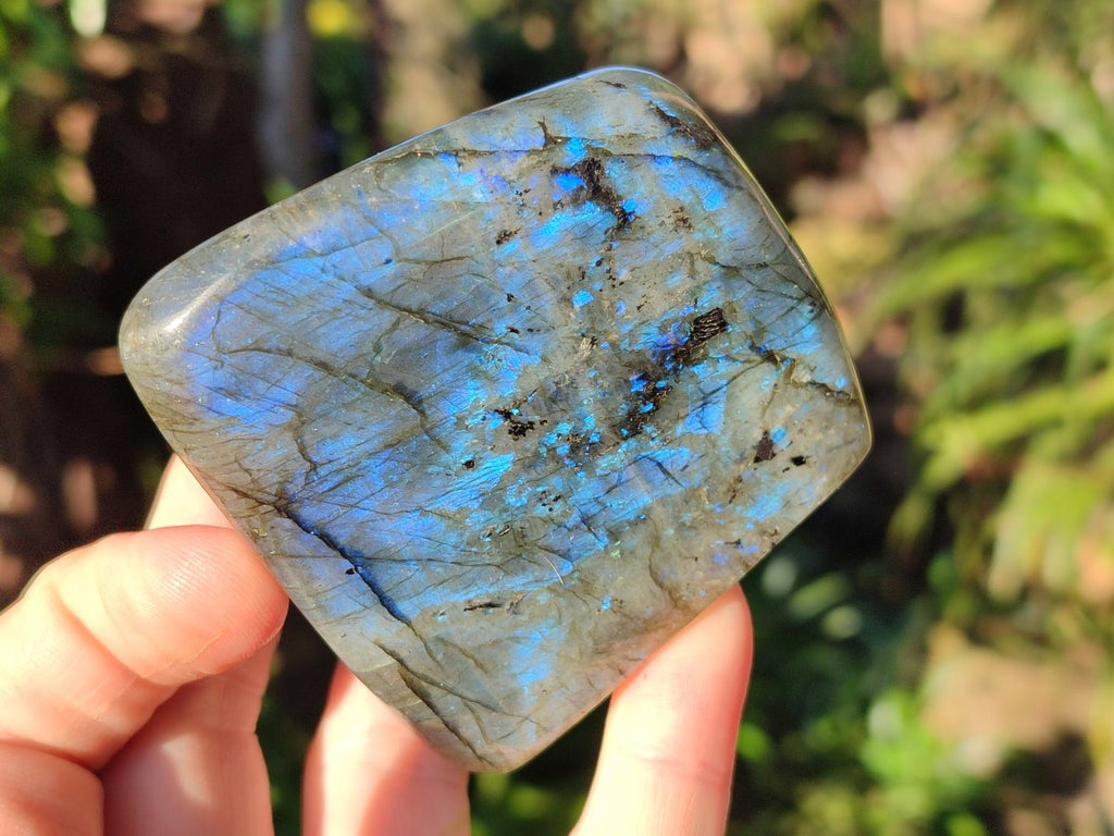 Polished Small Labradorite Standing Display Pieces x 6 From Madagascar - Toprock Gemstones and Minerals 