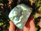 Polished Small Labradorite Standing Display Pieces x 6 From Madagascar - Toprock Gemstones and Minerals 