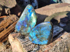 Polished Small Labradorite Standing Display Pieces x 6 From Madagascar - Toprock Gemstones and Minerals 