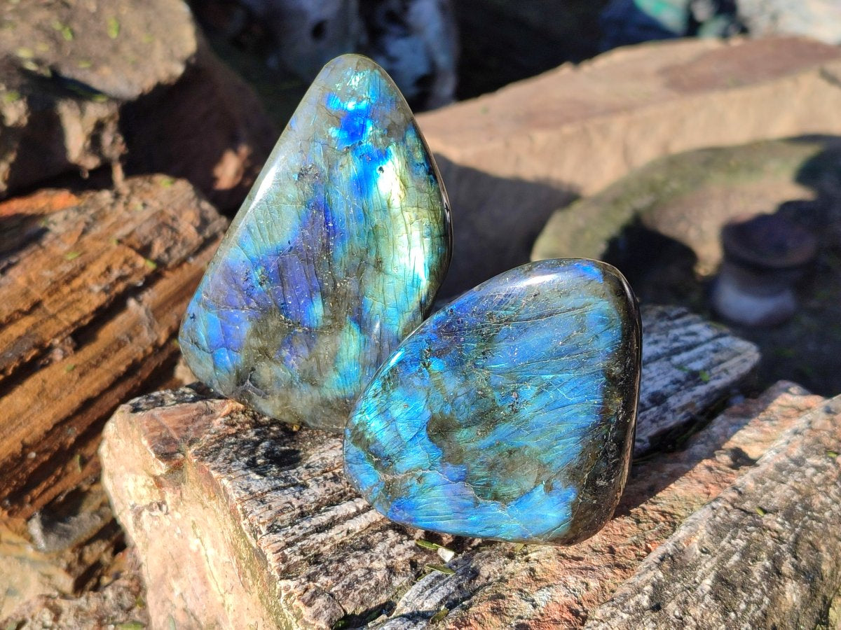 Polished Small Labradorite Standing Display Pieces x 6 From Madagascar - Toprock Gemstones and Minerals 