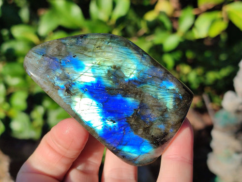 Polished Small Labradorite Standing Display Pieces x 6 From Madagascar - Toprock Gemstones and Minerals 