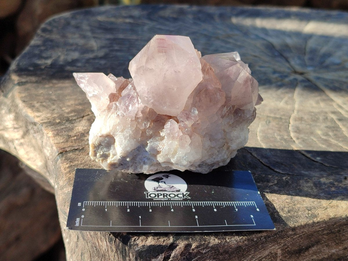 Natural Smokey Spirit Amethyst Cactus Flower Clusters x 6 From Boekenhouthoek, South Africa - Toprock Gemstones and Minerals 