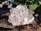 Natural Smokey Spirit Amethyst Cactus Flower Clusters x 6 From Boekenhouthoek, South Africa - Toprock Gemstones and Minerals 