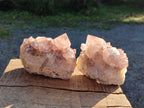 Natural Smokey Spirit Amethyst Cactus Flower Clusters x 6 From Boekenhouthoek, South Africa - Toprock Gemstones and Minerals 