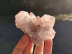 Natural Smokey Spirit Amethyst Cactus Flower Clusters x 6 From Boekenhouthoek, South Africa - Toprock Gemstones and Minerals 