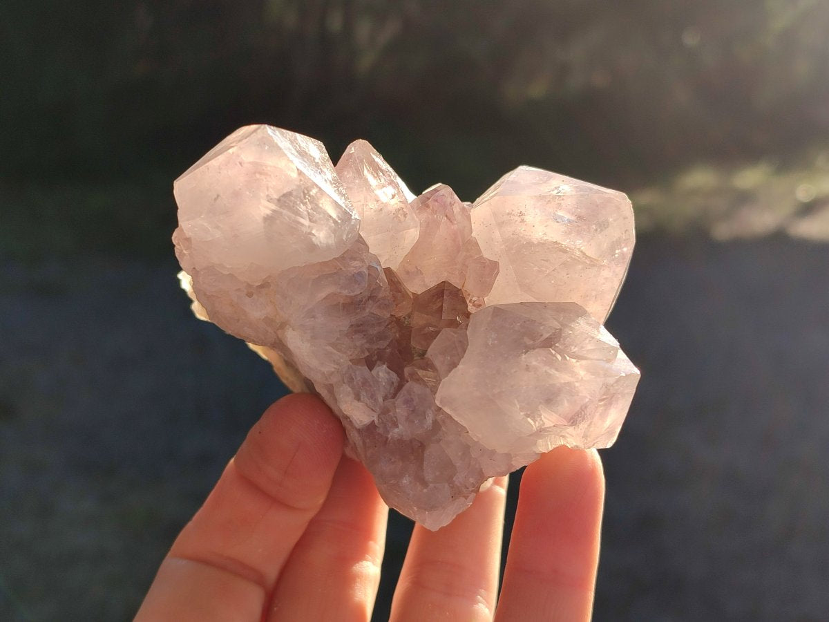 Natural Smokey Spirit Amethyst Cactus Flower Clusters x 6 From Boekenhouthoek, South Africa - Toprock Gemstones and Minerals 
