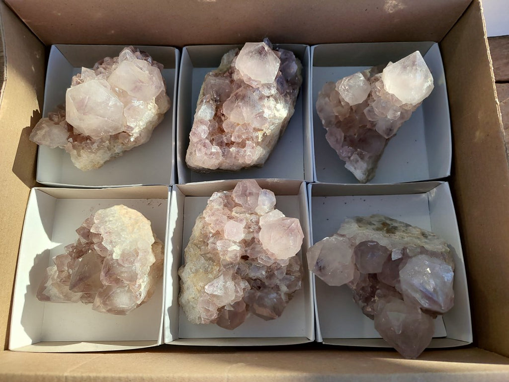 Natural Smokey Spirit Amethyst Cactus Flower Clusters x 6 From Boekenhouthoek, South Africa - Toprock Gemstones and Minerals 