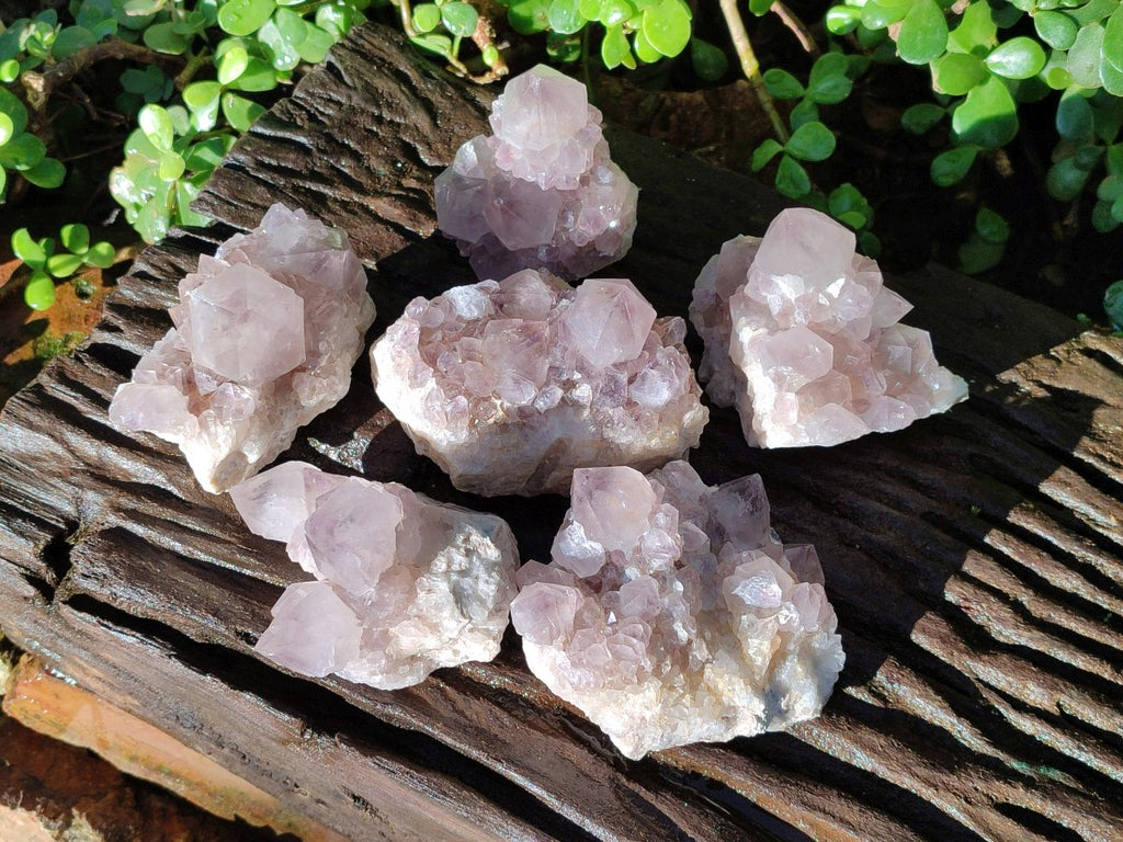 Natural Smokey Spirit Amethyst Cactus Flower Clusters x 6 From Boekenhouthoek, South Africa - Toprock Gemstones and Minerals 