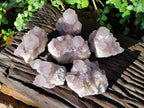 Natural Smokey Spirit Amethyst Cactus Flower Clusters x 6 From Boekenhouthoek, South Africa - Toprock Gemstones and Minerals 