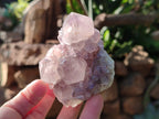 Natural Smokey Spirit Amethyst Cactus Flower Clusters x 6 From Boekenhouthoek, South Africa - Toprock Gemstones and Minerals 