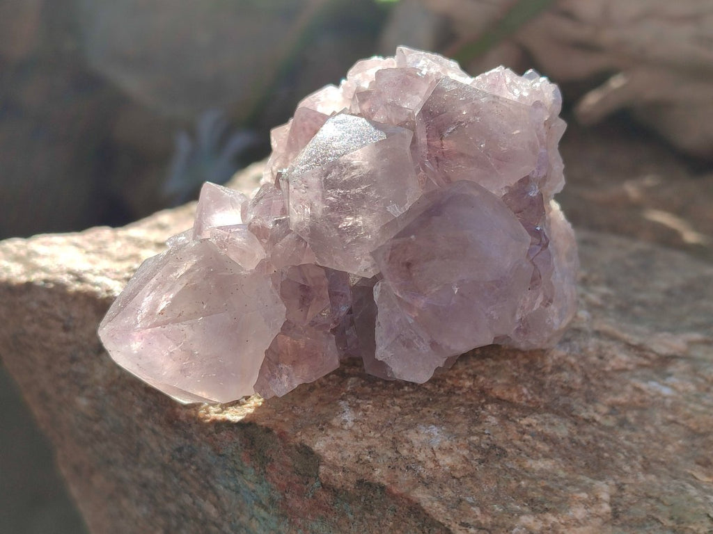Natural Smokey Spirit Amethyst Cactus Flower Clusters x 6 From Boekenhouthoek, South Africa - Toprock Gemstones and Minerals 