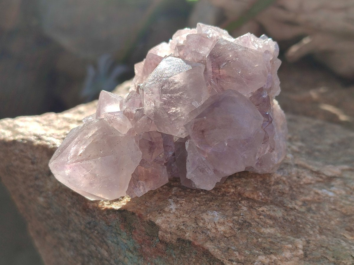 Natural Smokey Spirit Amethyst Cactus Flower Clusters x 6 From Boekenhouthoek, South Africa - Toprock Gemstones and Minerals 