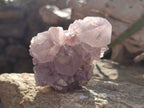 Natural Smokey Spirit Amethyst Cactus Flower Clusters x 6 From Boekenhouthoek, South Africa - Toprock Gemstones and Minerals 