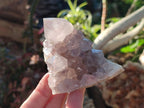 Natural Smokey Spirit Amethyst Cactus Flower Clusters x 6 From Boekenhouthoek, South Africa - Toprock Gemstones and Minerals 