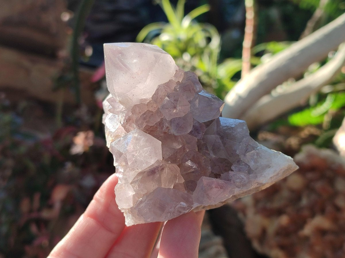 Natural Smokey Spirit Amethyst Cactus Flower Clusters x 6 From Boekenhouthoek, South Africa - Toprock Gemstones and Minerals 