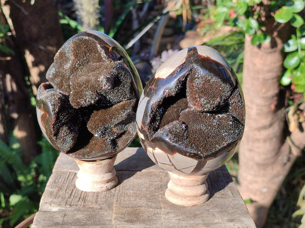 Polished Septerye Sauvage "Dragons Eggs" Geodes x 2 From Mahajanga, Madagascar - Toprock Gemstones and Minerals 