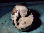Polished Septerye Sauvage "Dragons Eggs" Geodes x 2 From Mahajanga, Madagascar - Toprock Gemstones and Minerals 