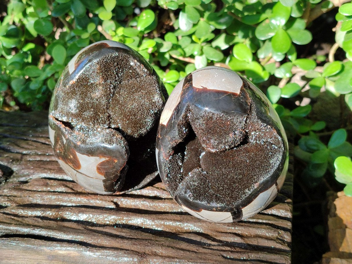 Polished Septerye Sauvage "Dragons Eggs" Geodes x 2 From Mahajanga, Madagascar - Toprock Gemstones and Minerals 