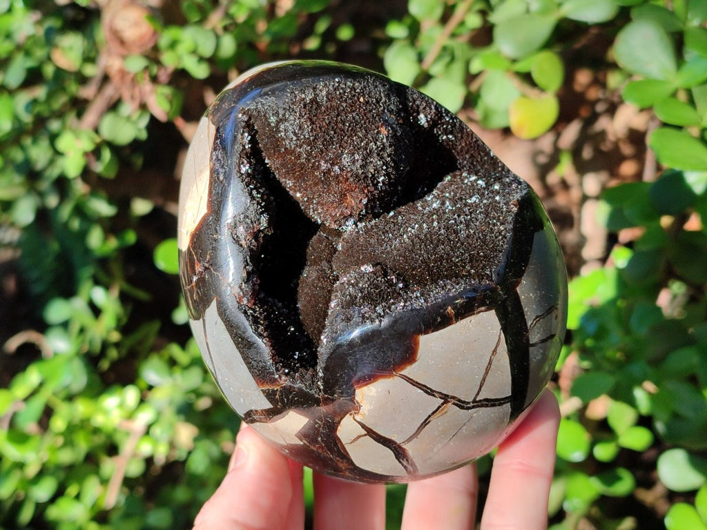 Polished Septerye Sauvage "Dragons Eggs" Geodes x 2 From Mahajanga, Madagascar - Toprock Gemstones and Minerals 