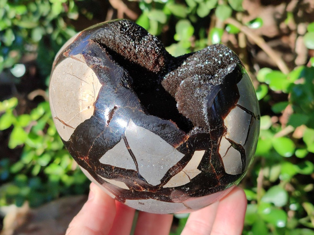 Polished Septerye Sauvage "Dragons Eggs" Geodes x 2 From Mahajanga, Madagascar - Toprock Gemstones and Minerals 