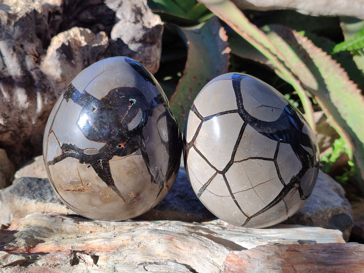 Polished Septerye Sauvage "Dragons Eggs" Geodes x 2 From Mahajanga, Madagascar - Toprock Gemstones and Minerals 