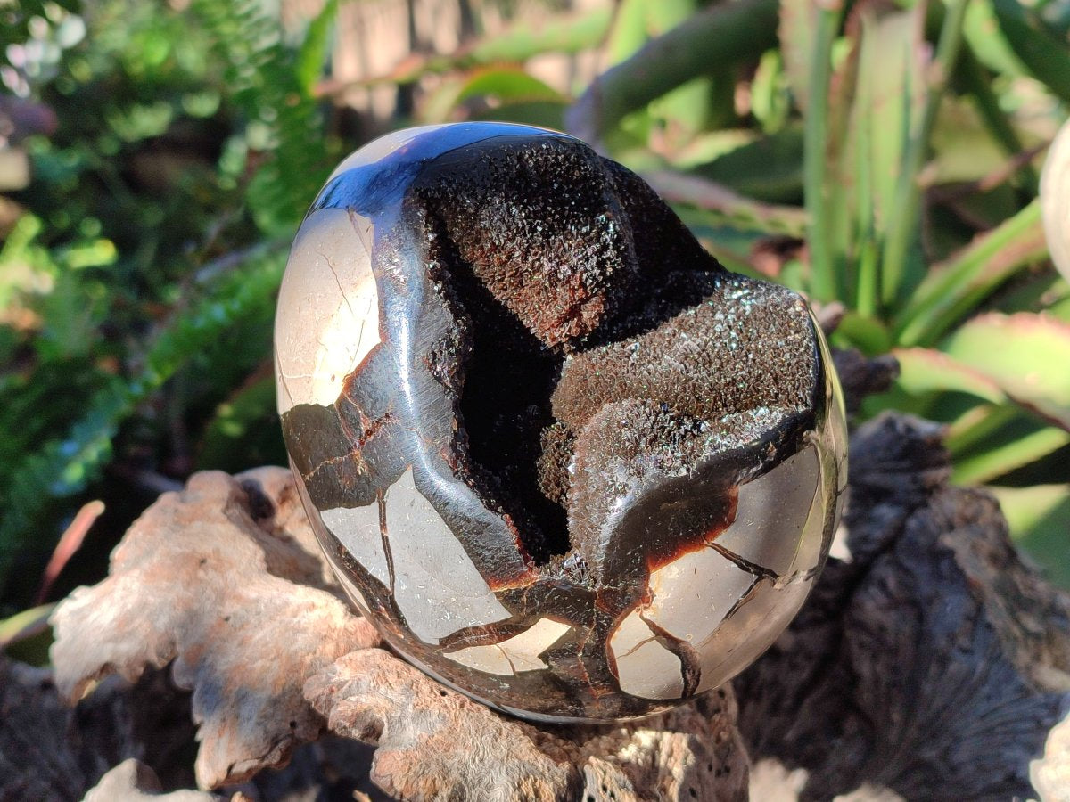 Polished Septerye Sauvage "Dragons Eggs" Geodes x 2 From Mahajanga, Madagascar - Toprock Gemstones and Minerals 