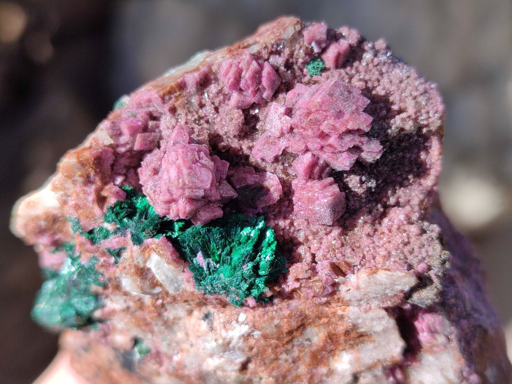 Natural Salrose Cobaltoan Dolomite Specimens with Associated Minerals x 6 From Kakanda, Congo - Toprock Gemstones and Minerals 
