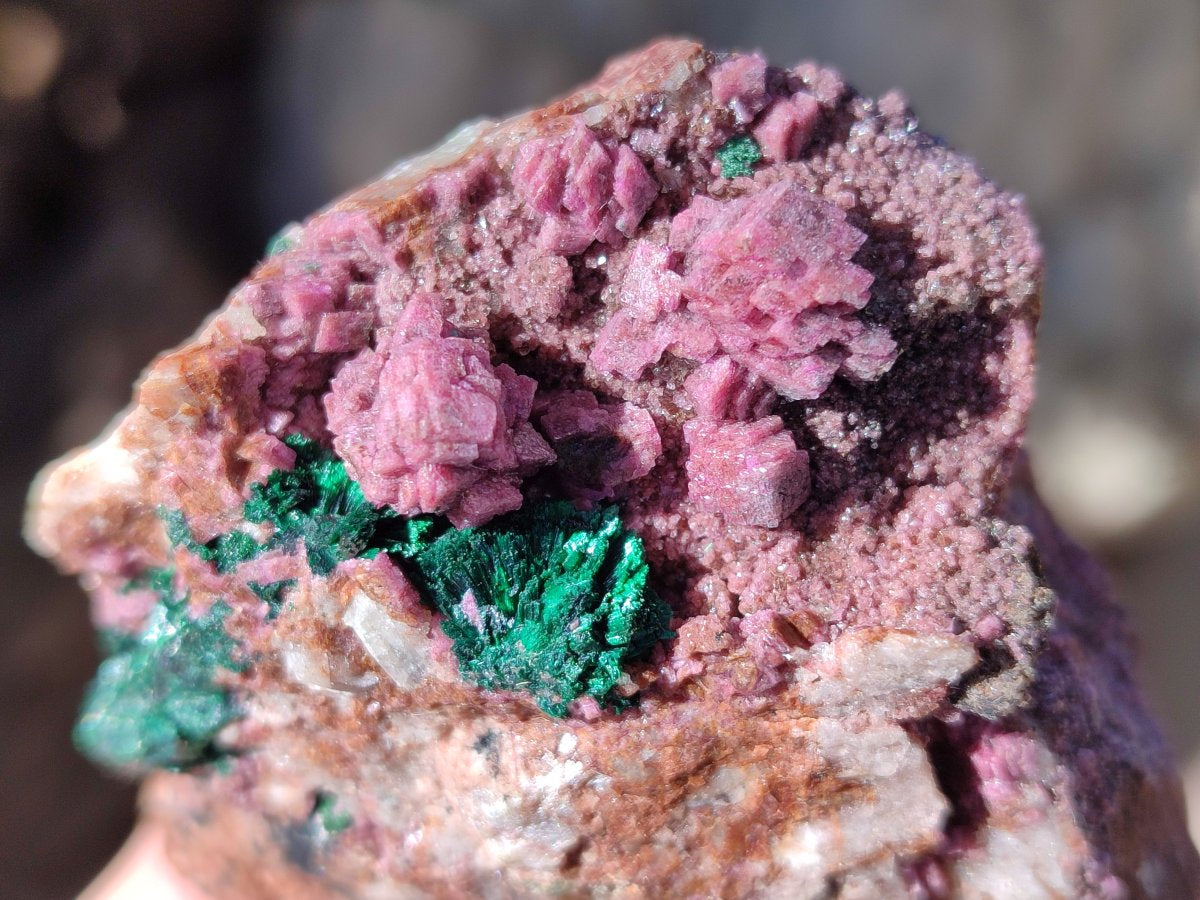 Natural Salrose Cobaltoan Dolomite Specimens with Associated Minerals x 6 From Kakanda, Congo - Toprock Gemstones and Minerals 