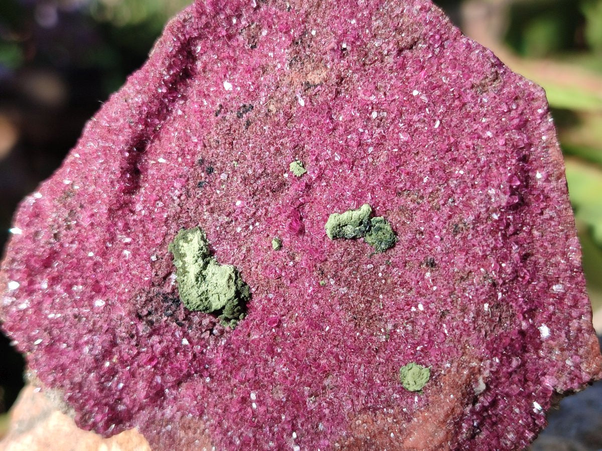 Natural Salrose Cobaltoan Dolomite Specimens with Associated Minerals x 6 From Kakanda, Congo - Toprock Gemstones and Minerals 