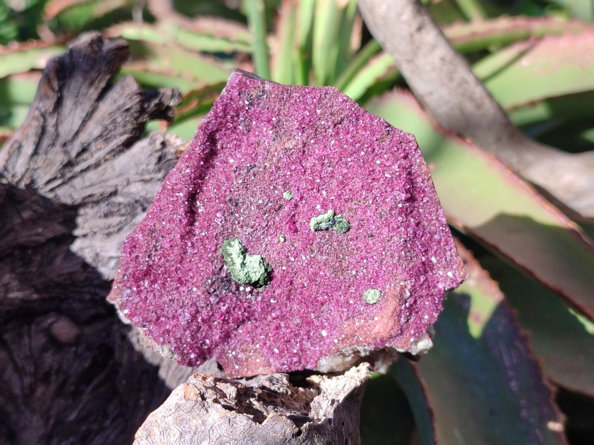 Natural Salrose Cobaltoan Dolomite Specimens with Associated Minerals x 6 From Kakanda, Congo - Toprock Gemstones and Minerals 