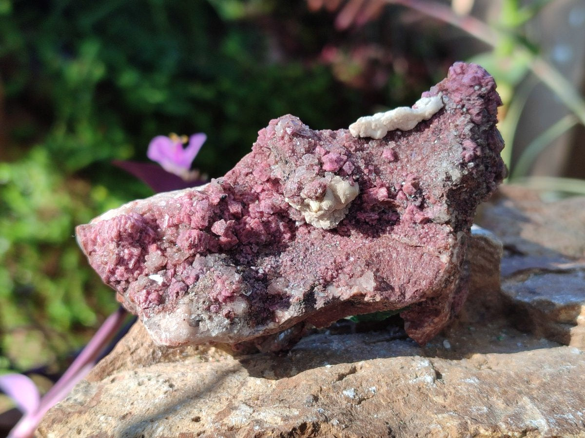 Natural Salrose Cobaltoan Dolomite Specimens with Associated Minerals x 6 From Kakanda, Congo - Toprock Gemstones and Minerals 