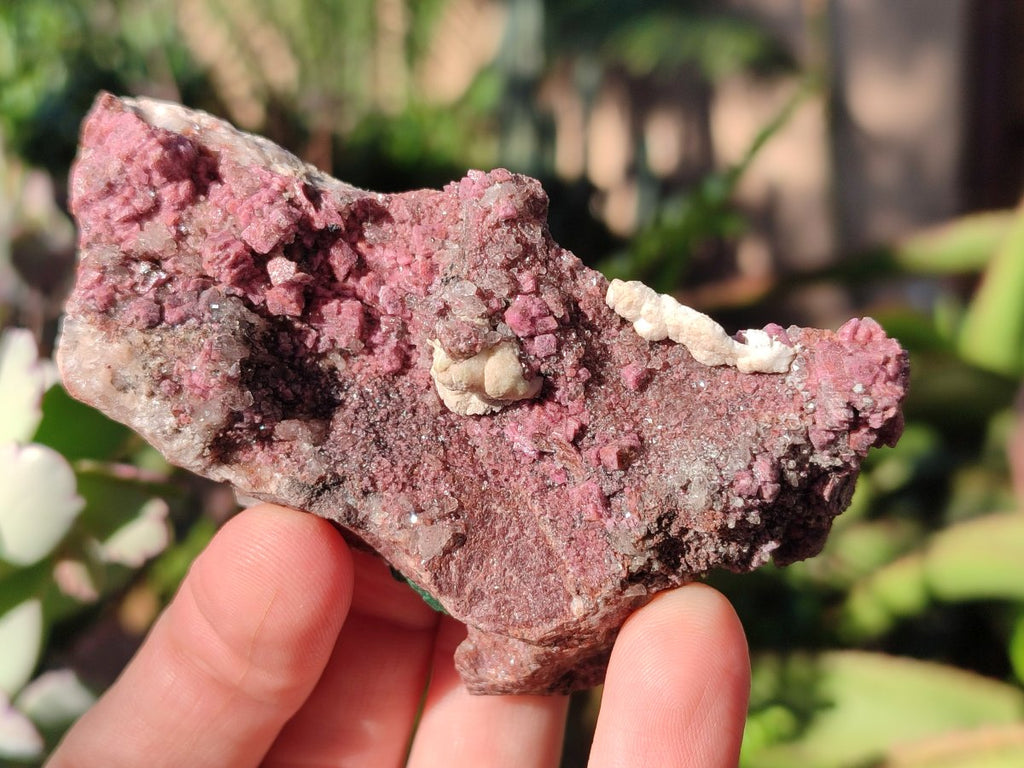 Natural Salrose Cobaltoan Dolomite Specimens with Associated Minerals x 6 From Kakanda, Congo - Toprock Gemstones and Minerals 