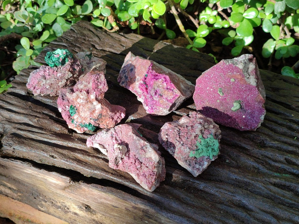 Natural Salrose Cobaltoan Dolomite Specimens with Associated Minerals x 6 From Kakanda, Congo - Toprock Gemstones and Minerals 