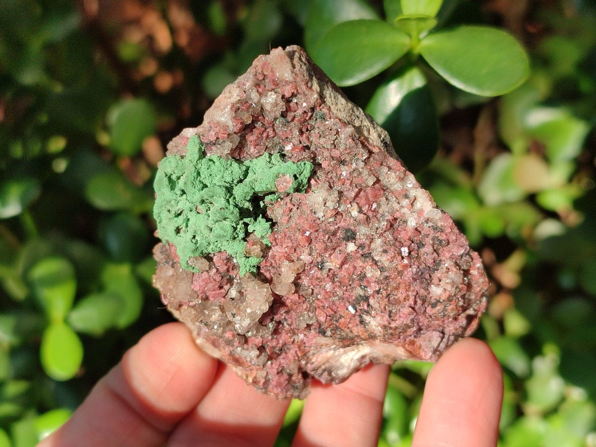 Natural Salrose Cobaltoan Dolomite Specimens with Associated Minerals x 6 From Kakanda, Congo - Toprock Gemstones and Minerals 