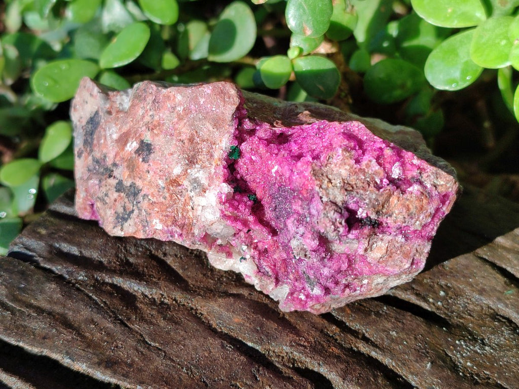 Natural Salrose Cobaltoan Dolomite Specimens with Associated Minerals x 6 From Kakanda, Congo - Toprock Gemstones and Minerals 