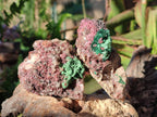 Natural Salrose Cobaltoan Dolomite Specimens with Associated Minerals x 6 From Kakanda, Congo - Toprock Gemstones and Minerals 