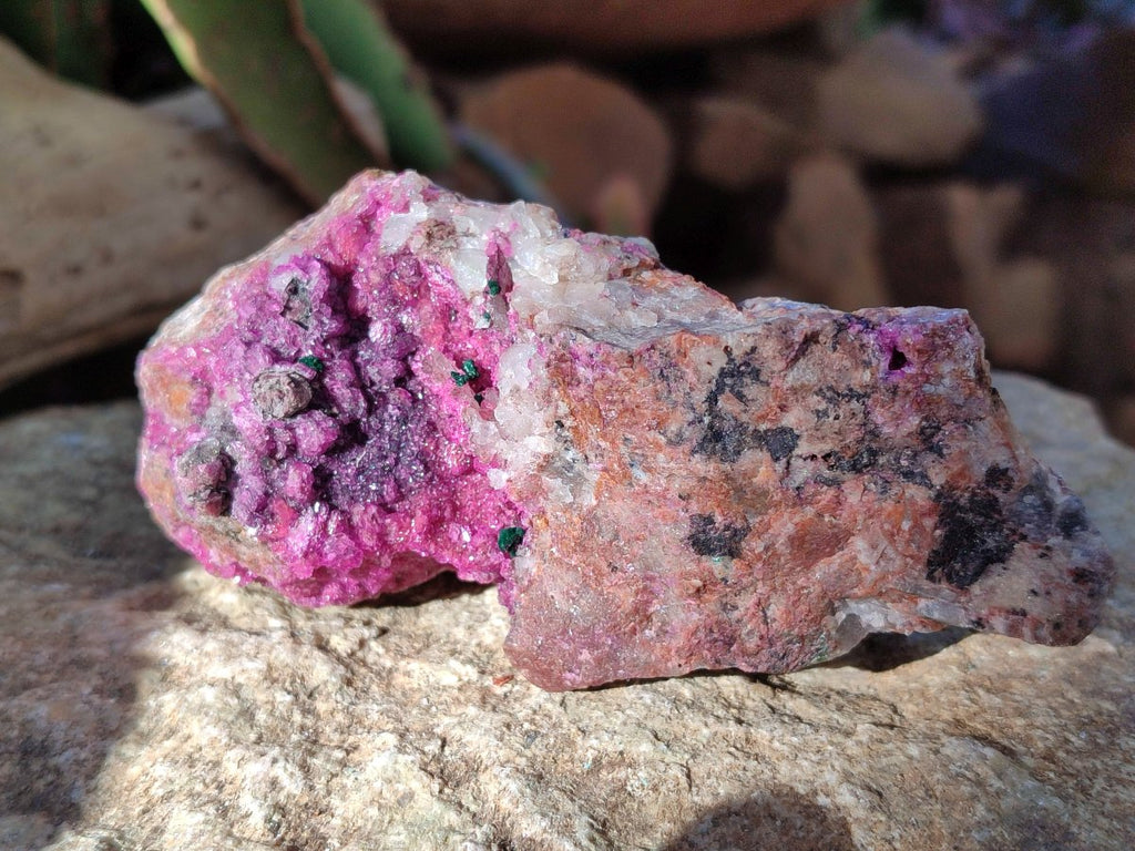 Natural Salrose Cobaltoan Dolomite Specimens with Associated Minerals x 6 From Kakanda, Congo - Toprock Gemstones and Minerals 