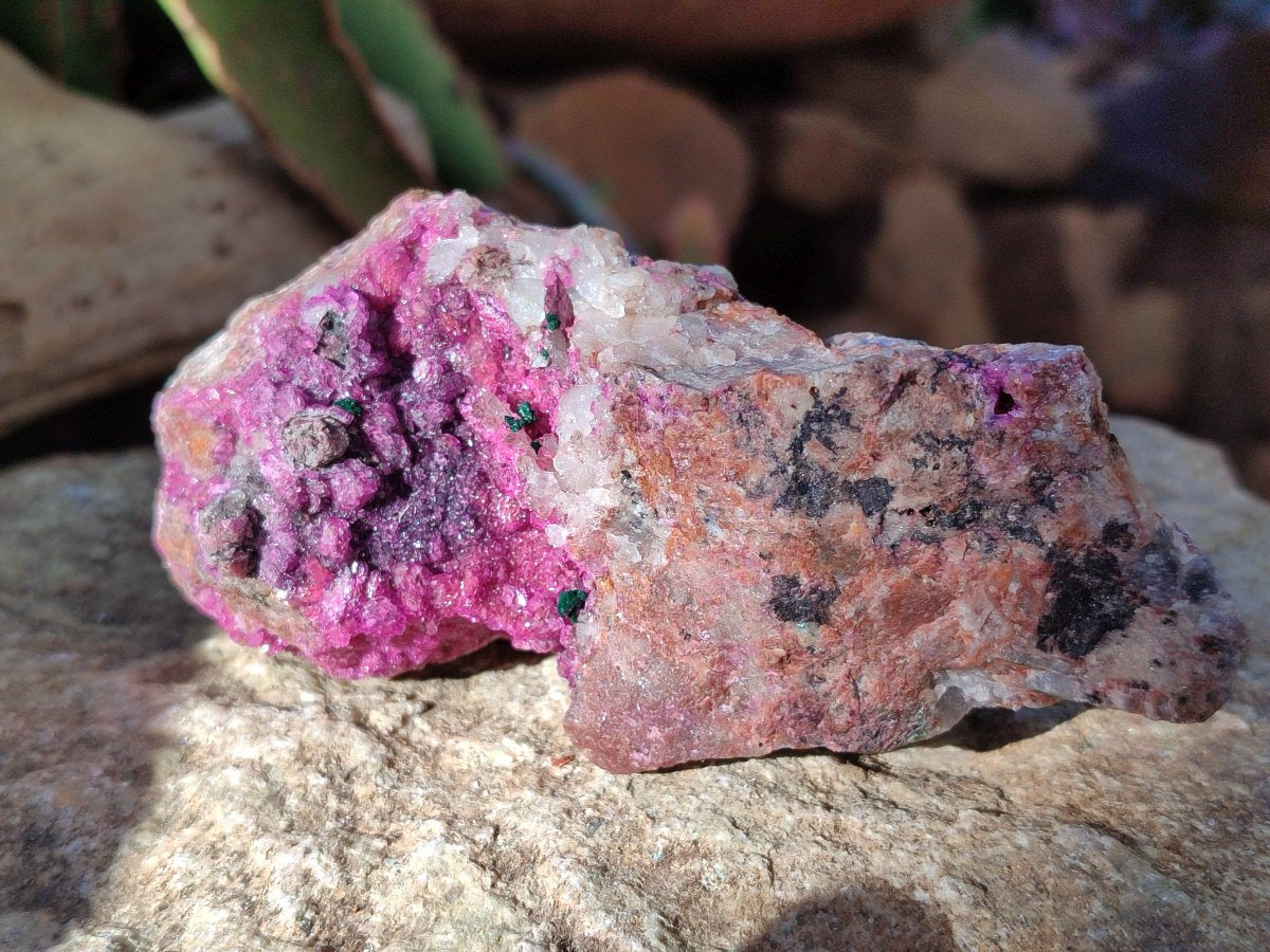Natural Salrose Cobaltoan Dolomite Specimens with Associated Minerals x 6 From Kakanda, Congo - Toprock Gemstones and Minerals 