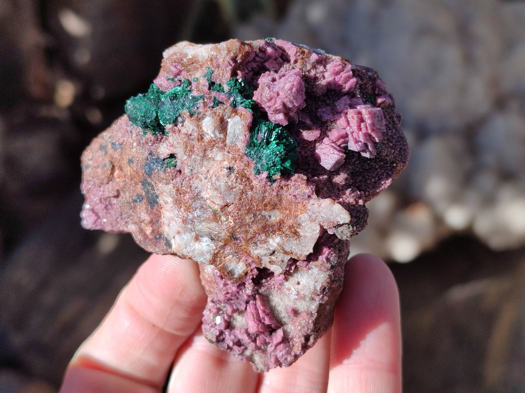 Natural Salrose Cobaltoan Dolomite Specimens with Associated Minerals x 6 From Kakanda, Congo - Toprock Gemstones and Minerals 