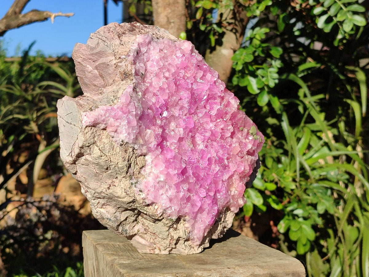 Natural XL Ultra Rare Cobaltion Rhodocalcite Specimen x 1 From Mashamba West, Congo - Toprock Gemstones and Minerals 