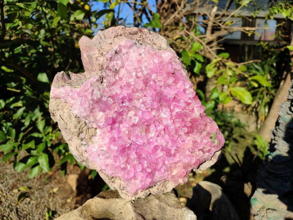Natural XL Ultra Rare Cobaltion Rhodocalcite Specimen x 1 From Mashamba West, Congo - Toprock Gemstones and Minerals 