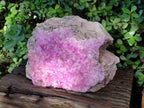 Natural XL Ultra Rare Cobaltion Rhodocalcite Specimen x 1 From Mashamba West, Congo - Toprock Gemstones and Minerals 