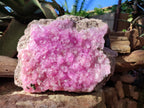 Natural XL Ultra Rare Cobaltion Rhodocalcite Specimen x 1 From Mashamba West, Congo - Toprock Gemstones and Minerals 